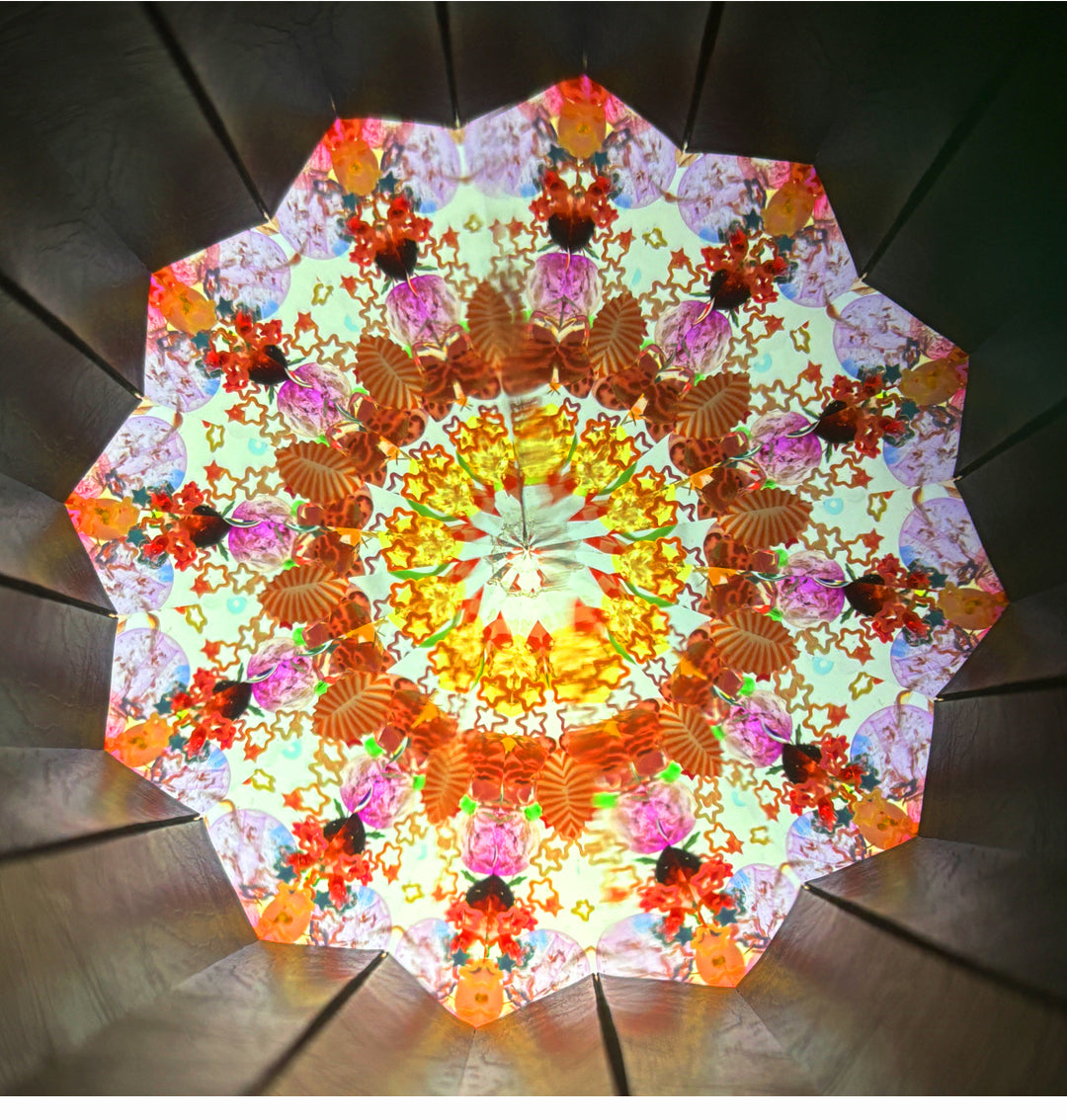 BIOCURIO Kaleidoscope